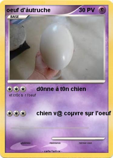 Pokemon oeuf d'àutruche