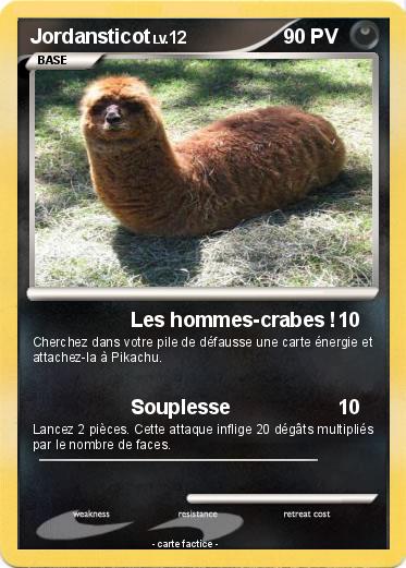 Pokemon Jordansticot