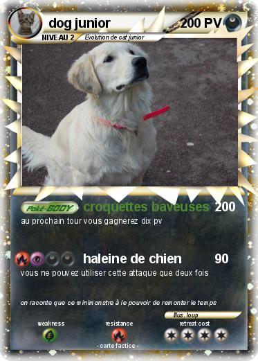 Pokemon dog junior