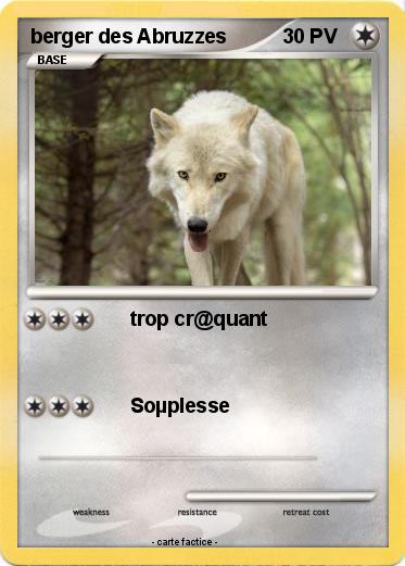 Pokemon berger des Abruzzes