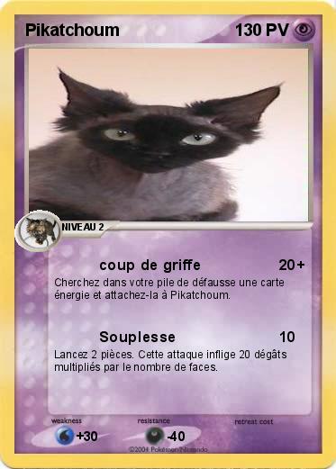 Pokemon Pikatchoum