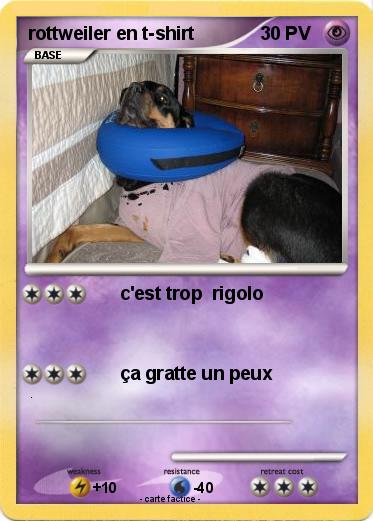 Pokemon rottweiler en t-shirt