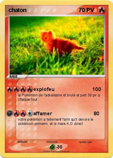 Pokemon chaton