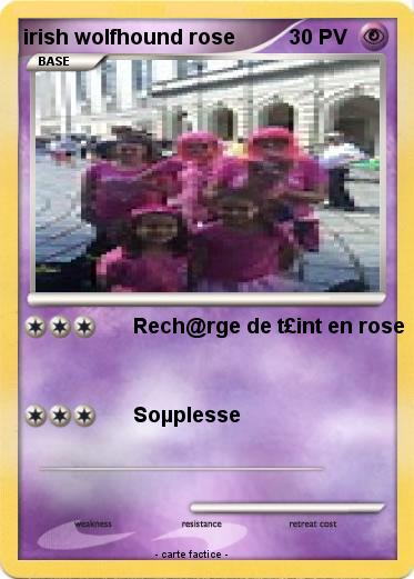 Pokemon irish wolfhound rose