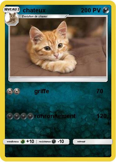 Pokemon chateux