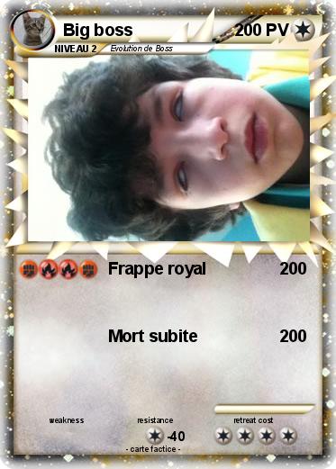 Pokemon Big boss