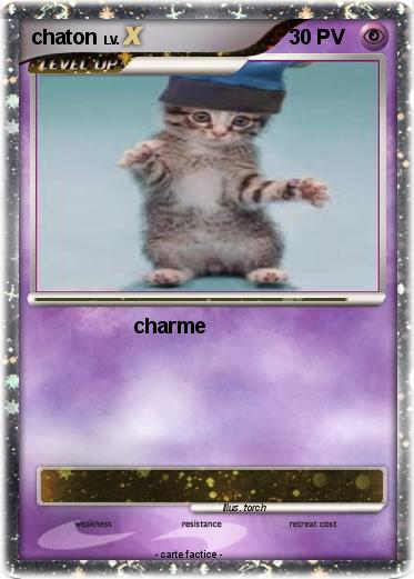 Pokemon chaton