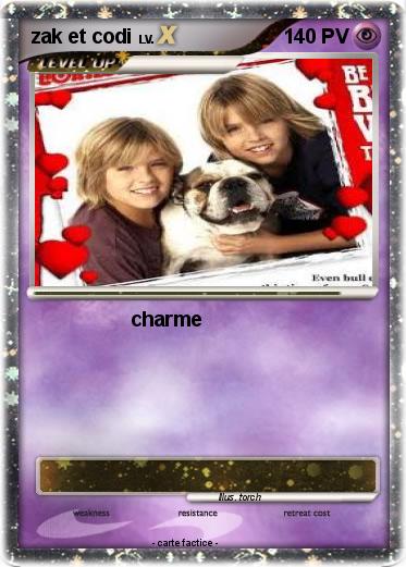 Pokemon zak et codi