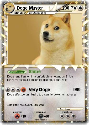 Pokemon Doge Master