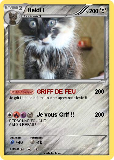 Pokemon Heidi !