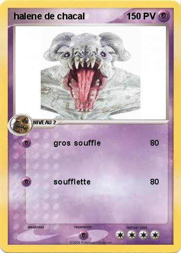 Pokemon halene de chacal