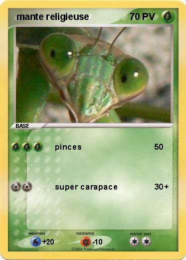 Pokemon  mante religieuse