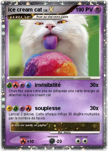 Pokemon ice cream cat