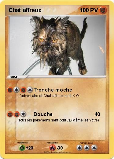 Pokemon Chat affreux