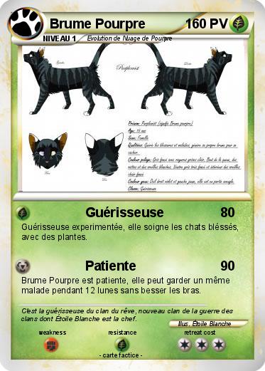 Pokemon Brume Pourpre