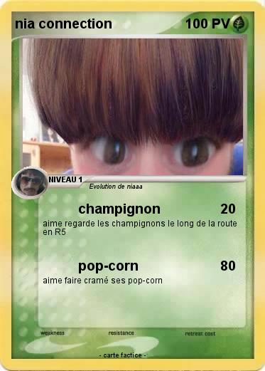 Pokemon nia connection