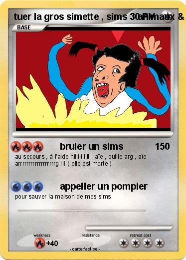 Pokemon tuer la gros simette , sims 3 animaux & cie 3DS