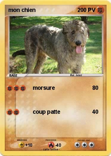 Pokemon mon chien