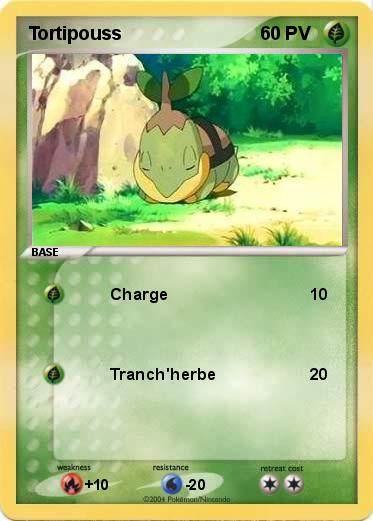 Pokemon Tortipouss