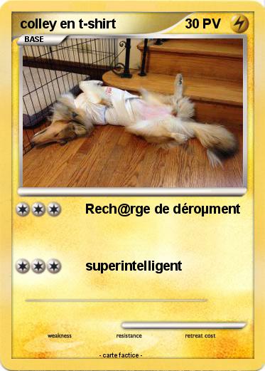 Pokemon colley en t-shirt