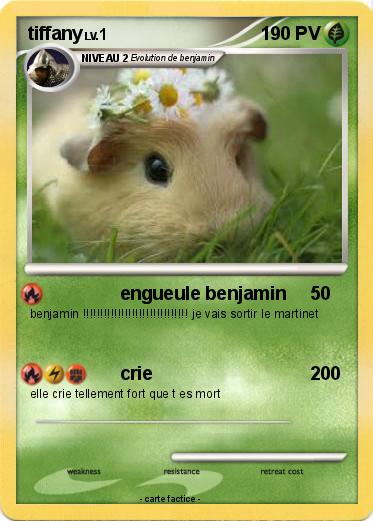 Pokemon tiffany