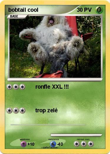 Pokemon bobtail cool