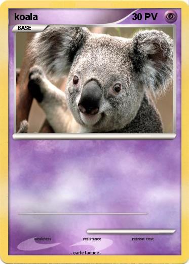 Pokemon koala