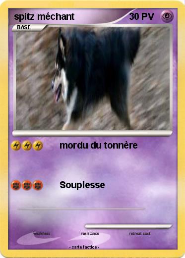 Pokemon spitz méchant