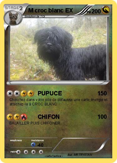 Pokemon M croc blanc EX