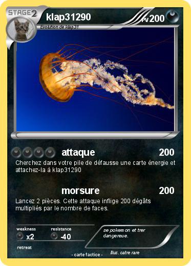 Pokemon klap31290