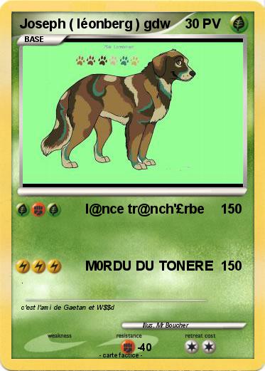 Pokemon Joseph ( léonberg ) gdw