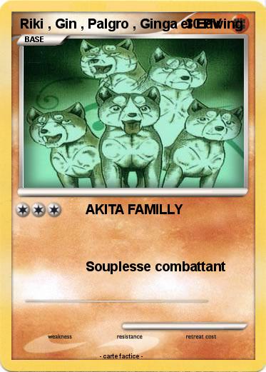 Pokemon Riki , Gin , Palgro , Ginga et Edwing