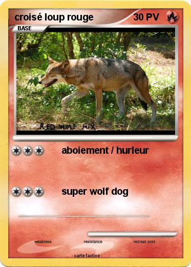 Pokemon croisé loup rouge