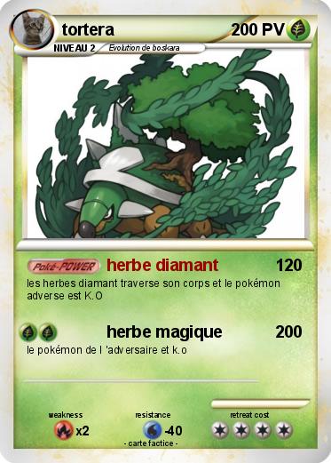 Pokemon tortera