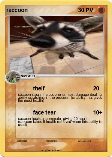 Pokemon raccoon