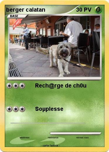 Pokemon berger calatan