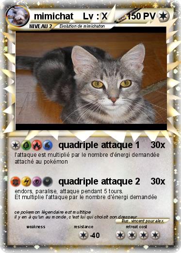 Pokemon mimichat    Lv : X