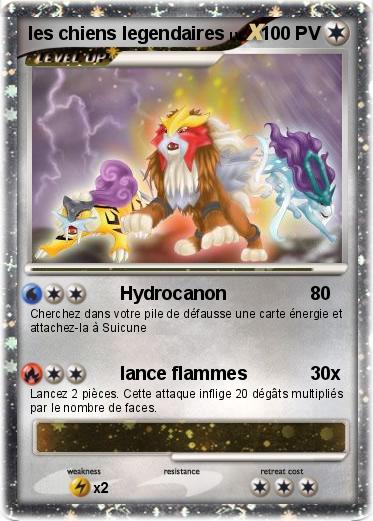 Pokemon les chiens legendaires