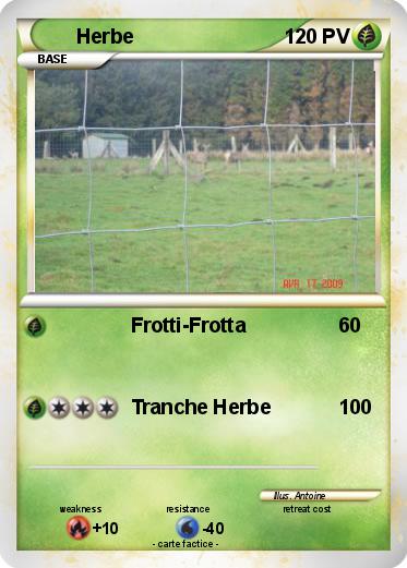 Pokemon Herbe