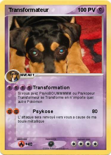 Pokemon Transformateur