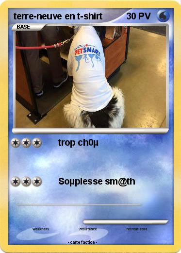 Pokemon terre-neuve en t-shirt