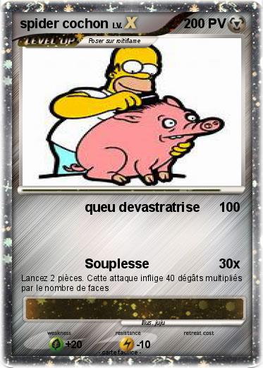 Pokemon spider cochon