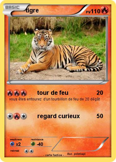 Pokemon tigre