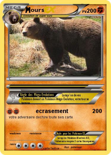 Pokemon ours