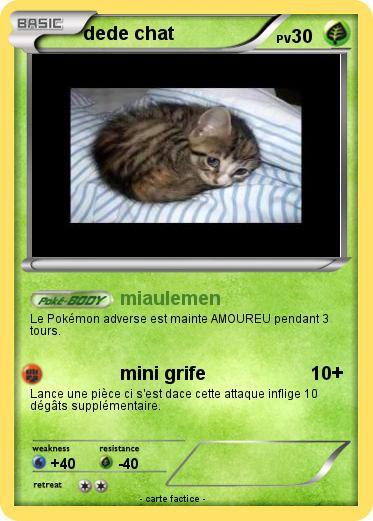 Pokemon dede chat
