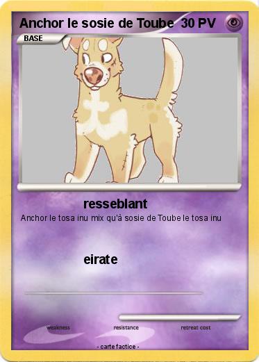 Pokemon Anchor le sosie de Toube