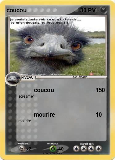 Pokemon coucou