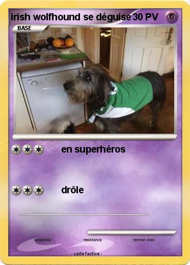 Pokemon irish wolfhound se déguise