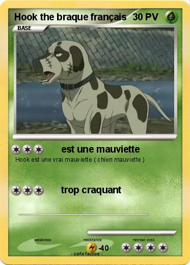 Pokemon Hook the braque français