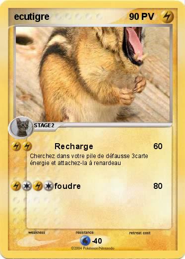 Pokemon ecutigre